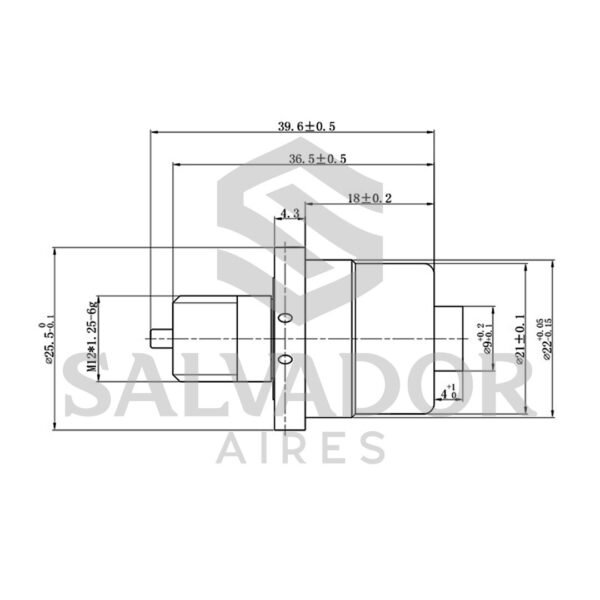 VALVULA CONTROL SANDEN SD6V12 / SD7V12 / SD7V16 - Imagen 2